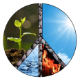 Inner Peace Holistic Farm